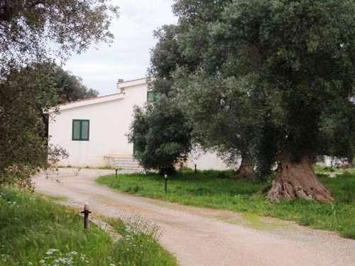 prospettiva esterna 3